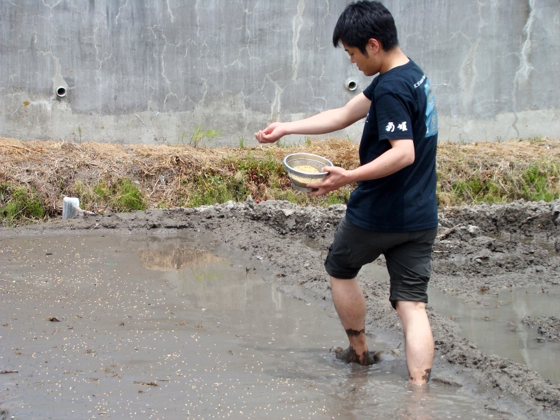 DSC08776.jpg