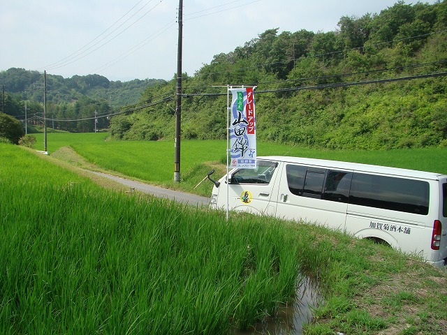 DSC09854.jpg
