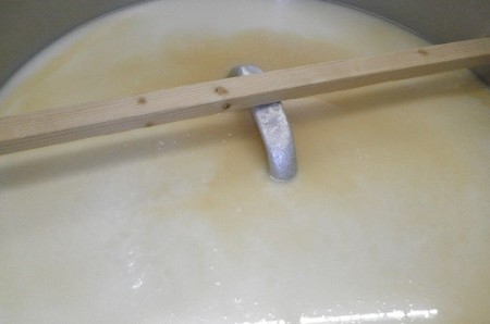 酒母４．２.jpg